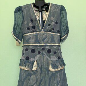 Anna Sui Runway Fall 2010 Sz 4 Gray Gold Holiday Party Dot Sheer Cap Sleev Dress